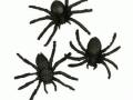 Spin Zwart ca.4cm