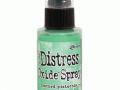    Distress Oxide Spray Cracked Pistachio
