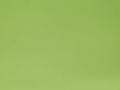 Decorfin Universal Satin 665 16ml Lentegroen