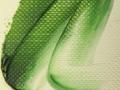 Winton 637  37ml Terre Verte