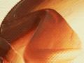 Winton 074 200ml Burnt Sienna