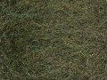 Bheda Wol ca.25gram 190 Mosgroen