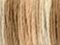 Silk-Finish Multi 9855