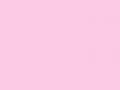  Karton 7213 Pink Icing 10vel