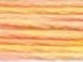 DMC 4100 Variations Peach Yellow