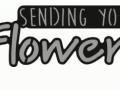Craftables CR1310 Sending you Flowers