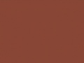  Tombow Dual Brush 899 Redwood
