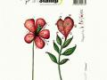 CaraB.Cl.St.LR 2Flowers-Heartflower