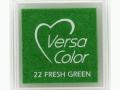  Versacolor Small  22 Fresh Green