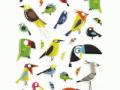 MD Cooky 3D Stickervel Tropische Vogels