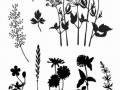 HA Clear Stamp Floral Silhouette