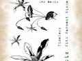 TE Clear Stamp Clematis